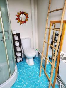 a bathroom with a toilet and a ladder at Au trente-neuf in Nevers