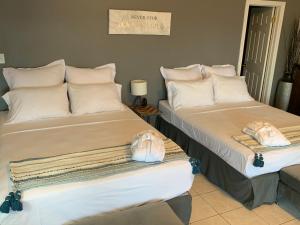 two beds sitting next to each other in a room at Q Estate Guest Suite heated indoor pool in Westport +22 photos