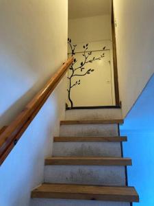 a staircase with a glass door with a branch on the wall at Villarrica: lago, volcán y parques naturales in Villarrica