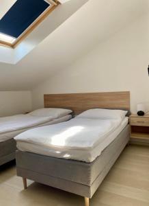a bedroom with two beds and a skylight at Penzion Na Hradbách in Slavkov u Brna