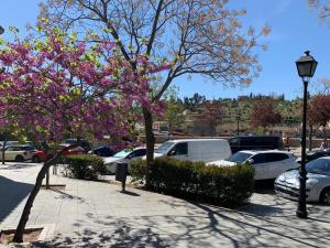 Fotografia z galérie ubytovania Vega del Tajo- CON PARKING GRATIS v destinácii Toledo