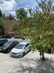 um carro branco estacionado num parque de estacionamento ao lado de uma árvore em Vega del Tajo- CON PARKING GRATIS em Toledo