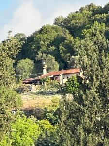 dom na środku wzgórza z drzewami w obiekcie Despina country retreat w Pafos