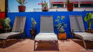 three chairs in front of a blue wall with potted plants at Casona Rosa B&B, Morelia in Morelia