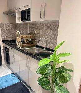a kitchen with a sink and a plant at Modern apartment kantaoui sousse in Dar el Saïd