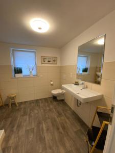 a bathroom with a sink and a toilet and a mirror at Ferienwohnung Kleinôd Sayn in Bendorf