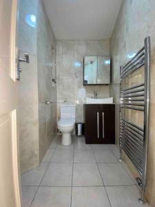 a bathroom with a toilet and a sink at Spacious Studio 30 mins from Luton free parking in The Hyde