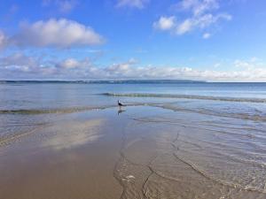 een persoon op een strand in het water bij DünenResort Binz - Apt. 3.6 in Binz