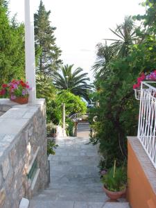 Vonkajšia záhrada v ubytovaní Villa Carmen Rooms & Apartments