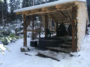 Guest house Alyaska durante l'inverno