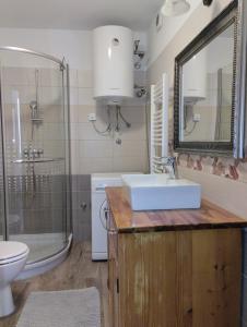 uma casa de banho com um lavatório, um chuveiro e um WC. em Prime Apartment Piran em Piran