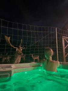 a woman in a swimming pool looking at a deer in a fence at Rubikiai LUX Duplex Apartamentai in Anykščiai