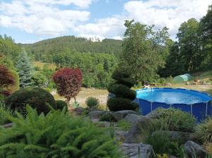 um jardim com uma piscina azul no meio em Pension DORO em Cerný Dul