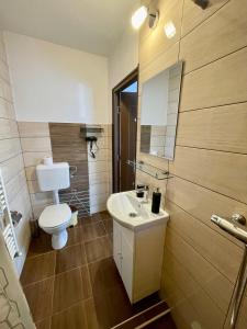 a bathroom with a toilet and a sink and a mirror at Island apartman in Odorheiu Secuiesc