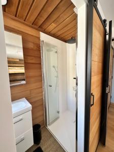 baño pequeño con ducha y lavamanos en Alpine Valley - Appartement familial Disneyland Paris - wifi et parking inclus !, en Coutevroult