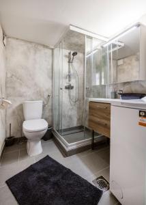 a bathroom with a shower and a toilet and a sink at Balint Budapest Apartment next to Synagogue, best location in city center in Budapest