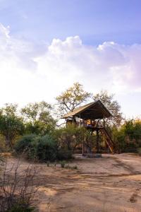 a tree house in the middle of a field at Ondudu Safari Lodge in Omaruru
