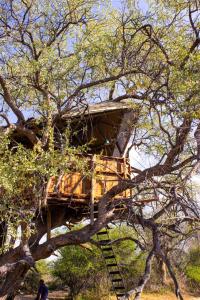 a tree house in a tree with a ladder at Ondudu Safari Lodge in Omaruru