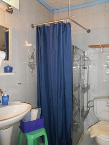 uma casa de banho com uma cortina de chuveiro azul e um lavatório. em Meltemia Studios em Marathokampos