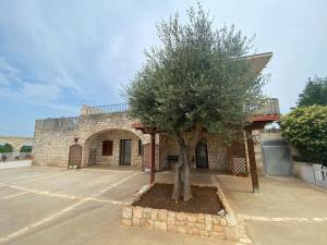un edificio con un albero di fronte di Villa Coco Monopoli a Monopoli