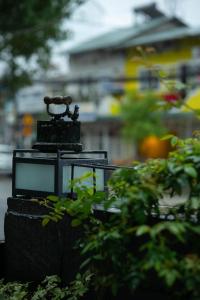 a light in the middle of some plants at Banla Boutique Hotel in Da Lat