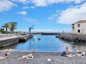 grupa ludzi siedzących na plaży obok rzeki w obiekcie Summer Breeze Penthouse w Puerto de la Cruz