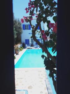 a swimming pool with a tree in front of a house at Meltemia Studios in Marathokampos