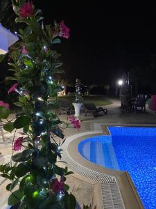 a tree next to a swimming pool at night at Ionion Beachfront Villa in Ayia Napa