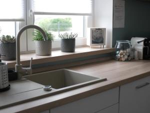 a kitchen sink with potted plants on a window ledge at ADELINA Apartman 