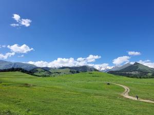 Paesaggio naturale nelle vicinanze dell'affittacamere