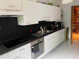 Kuchyň nebo kuchyňský kout v ubytování Perk25A