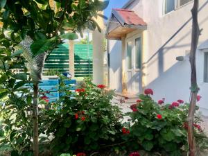 un jardín con flores rojas y una casa en Баку приморский поселок Бузовна, en Buzovna
