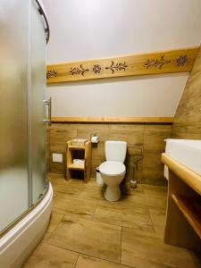 a bathroom with a toilet and a sink at Apartament Góralski in Kościelisko