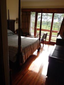 - une chambre avec un lit et une grande fenêtre dans l'établissement Seronera Wildlife Lodge, au parc national du Serengeti