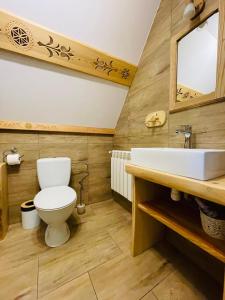 a bathroom with a toilet and a sink at Apartament Góralski in Kościelisko