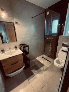 La salle de bains est pourvue de toilettes, d'un lavabo et d'une douche. dans l'établissement BALTICO Domki Letniskowe, à Sarbinowo