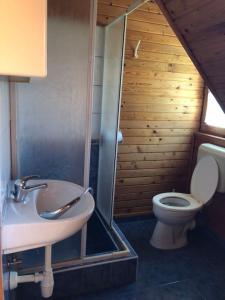 uma casa de banho com um lavatório e um WC em Álmos Apartman em Balatonfenyves