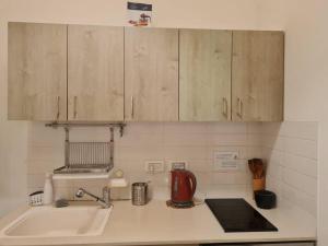 um balcão de cozinha com um lavatório e armários de madeira em Best Place to relax in Tel Aviv em Tel Aviv