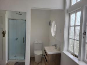 een badkamer met een douche, een toilet en een wastafel bij 1920s Classic Cozy 2-Bedroom Villa Apartment in Parnell in Auckland