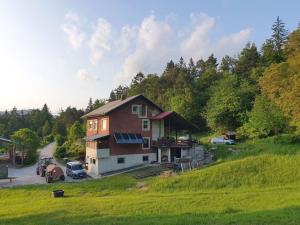Begunje pri Cerknici的住宿－Apartma narava，坐落在郁郁葱葱的绿色山丘上的房子