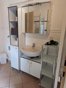 平茲高地區霍勒斯巴赫的住宿－Ferienwohnung Trixi，一间带水槽和镜子的浴室