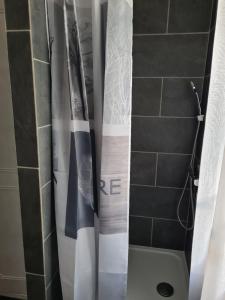 グレウー・レ・バンにあるLes Lavandesのバスルーム(シャワー、シャワーカーテン付)が備わります。
