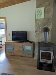 平茲高地區霍勒斯巴赫的住宿－Ferienwohnung Trixi，客厅设有壁炉和电视。