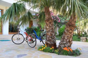 ein Fahrrad, das neben zwei Palmen geparkt ist in der Unterkunft Yonca Hotel in Adrasan