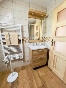 een badkamer met een wastafel en een spiegel bij U Marků in Staré Splavy