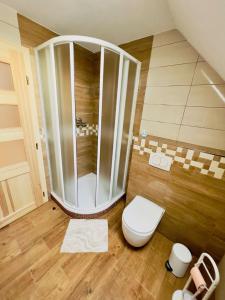 a bathroom with a toilet and a shower at U Marků in Staré Splavy