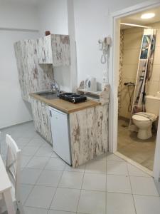 cocina con lavabo y aseo en una habitación en Super economy studio en Agia Pelagia