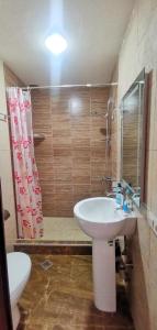 a bathroom with a sink and a shower and a toilet at Aronia Kazbegi in Stepantsminda