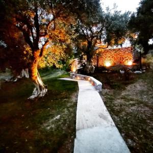 a path in a park with trees and a building at kalivi in Skiathos