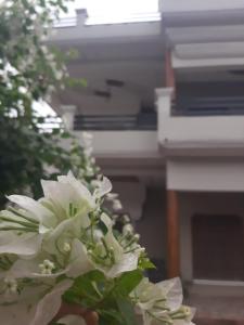 un ramo de flores blancas delante de un piano en PAARIJAAT Homestay & Guesthouse en Ayodhya